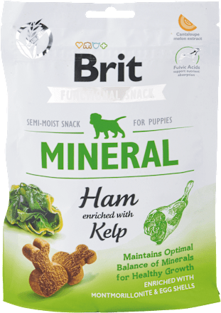 Pochúťka pre šteňatá care Functional Mineral Ham  Brit