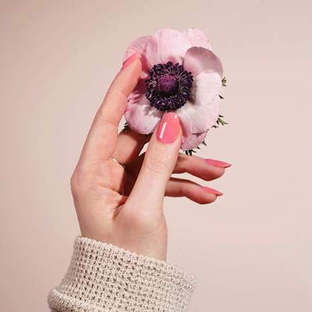 UV Nagelfolien Blush Hour Sheer Maniko