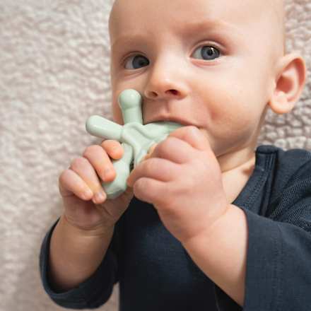 Beißring The Hugstar mint dentistar