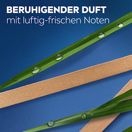 Duschgel Sensitive 5in1 NIVEA MEN