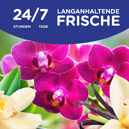 Weichspüler Vanille & Orchidee 45 WL Softlan