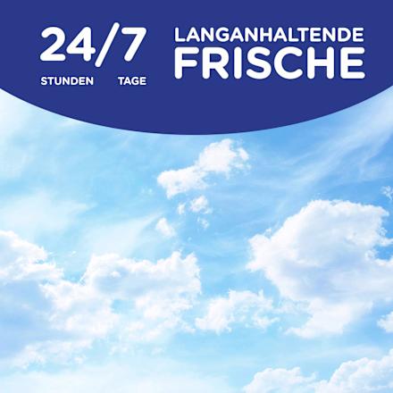 Weichspüler Windfrisch 45 WL Softlan