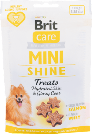 Pochúťka pre psy care Mini Shine Treats Brit