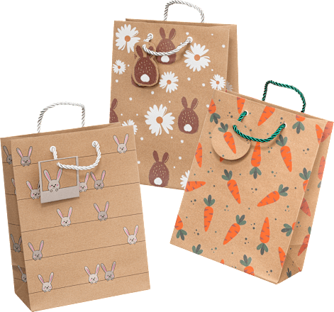 Geschenktasche Natronkraft Größe Midi  Profissimo