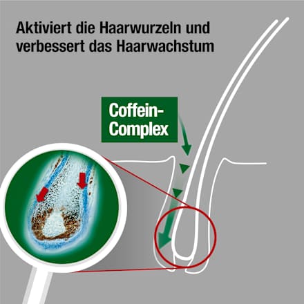 Shampoo Sensitiv S1 Alpecin