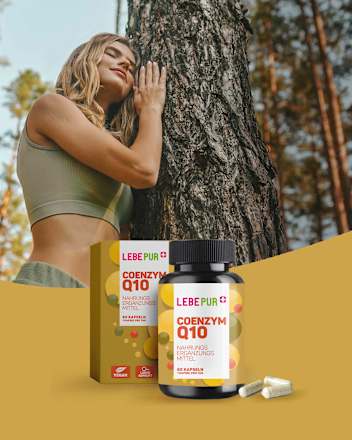 Coenzym Q10 Kapseln 60 St Lebepur