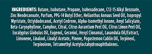 Deospray All Day Whole Body Ocean Rush Rexona men