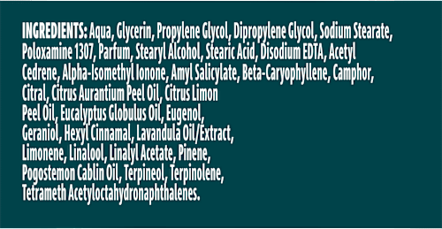 Deostick All Day Whole Body Ocean Rush Rexona men