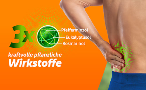 VoltaMed pflanzliche Schmerzcreme VoltaMed