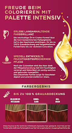 Intensiv-Creme-Coloration - Nr. 678 Rubinrot Palette Intensive Color Creme