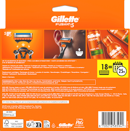 Rasierklingen, Fusion5 Gillette