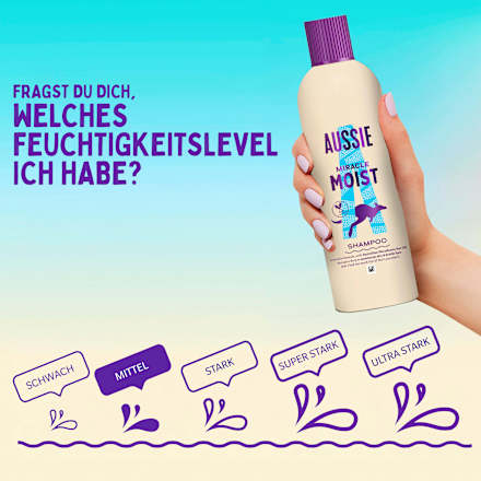 Shampoo Miracle Moist AUSSIE