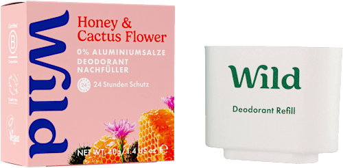 Deostick Honig Kaktusblüte Nachfüllpack Wild