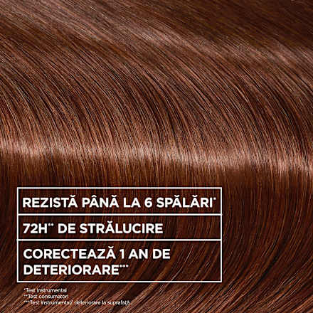 Mască de păr nuanțatoare COWBOY COPPER  GARNIER olia