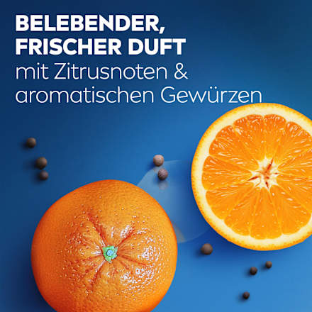 Duschgel Fresh Energy 5in1 NIVEA MEN