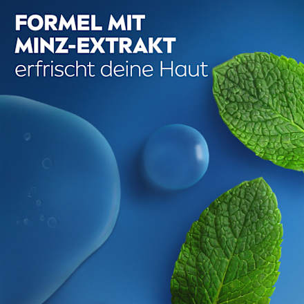 Duschgel Fresh Energy 5in1 NIVEA MEN