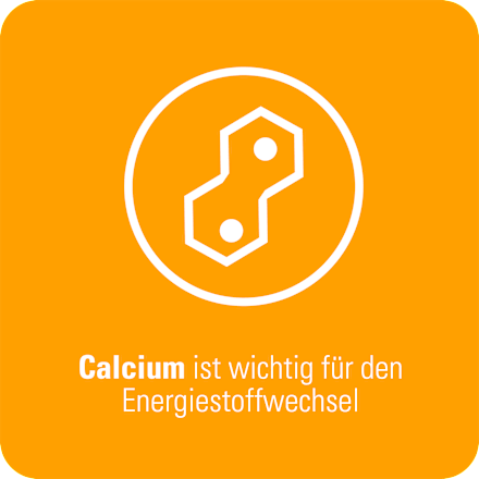 Calcium-Sandoz Sun Brausetabletten  Calcium-Sandoz