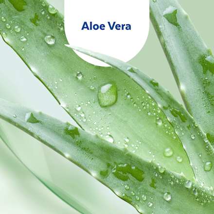 Desinfektion Handgel Aloe-Vera Sagrotan