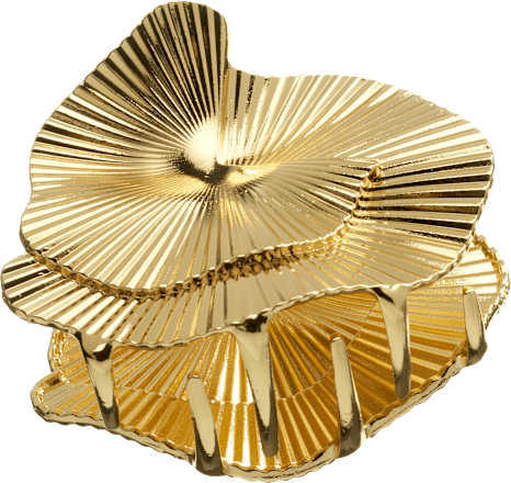 Haarklammer aus Metall, Goldoptik ebelin