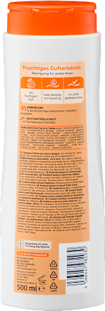 Shampoo Family Früchtetraum Balea
