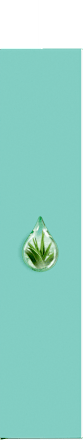 Rasierklingen, Pro Smooth Sensitive Gillette Venus