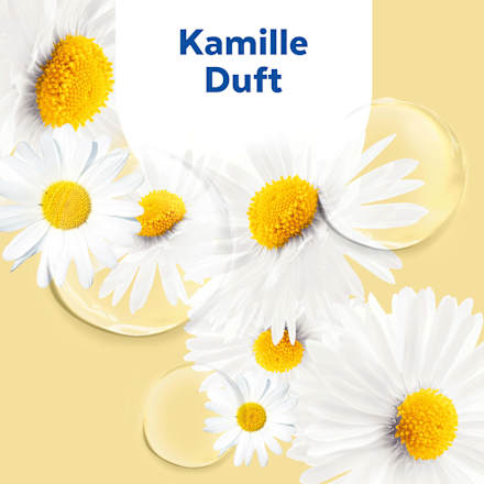 Seifenspender No Touch + Nachfüllpack Lotus & Kamillen Hydra Care Sagrotan