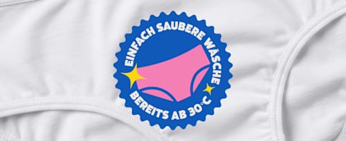 Vollwaschmittel Pulver Universal ECOVER