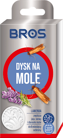 Dysk na mole  BROS