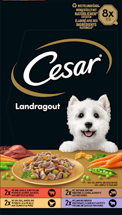 Nassfutter Hund Landküche Vielfalt in Sauce, Multipack (8x150 g) Cesar