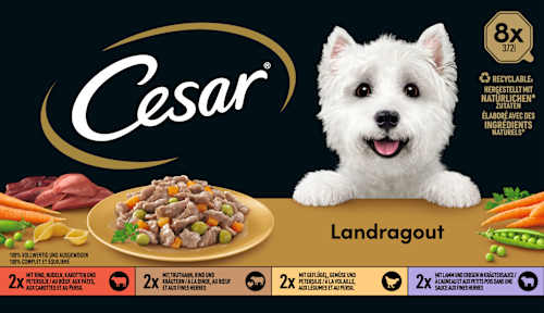 Nassfutter Hund Landküche Vielfalt in Sauce, Multipack (8x150 g) Cesar