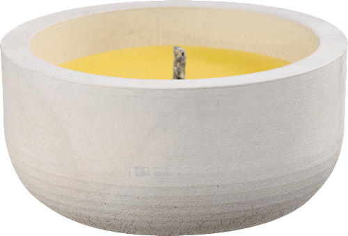 Duftkerze Citronella Melone Beton Sommerliebe  Profissimo