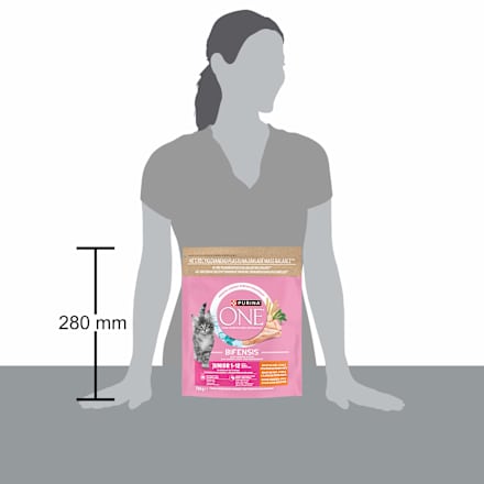 Bifensis Junior granule pro koťata kuře PURINA ONE