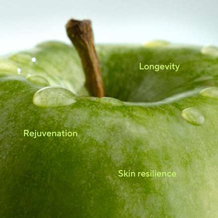 Rozjasňujúce pleťové sérum EXOSOME Longevity Radiance Peptide MÁDARA organic skincare
