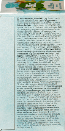 Bylinno ovocno-koreninový čaj aromatizovaný prírodným pomarančovým olejom dmBio