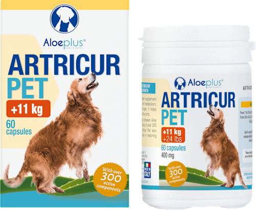 Dopolnilna hrana za pse, kapsule za sklepe in mišice Artricur Pet (+11 kg) Aloeplus