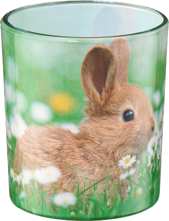 Sleeveglas sortiert Profissimo