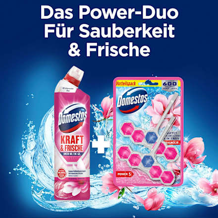 WC-Stein Pink Magnolie Domestos