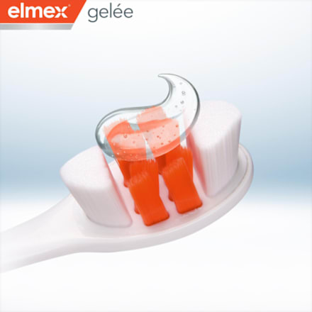 elmex gelée 1,25 % Dentalgel elmex
