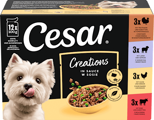 Nassfutter Hund Creations in Sauce, Mulitpack (12x100 g) Cesar