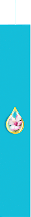 Rasierer Smooth Gillette Venus