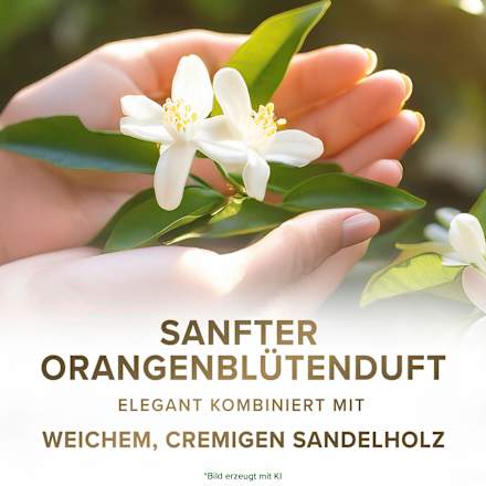 Flüssigseife Neroli- und Sandelholz Nachfüllpack Palmolive