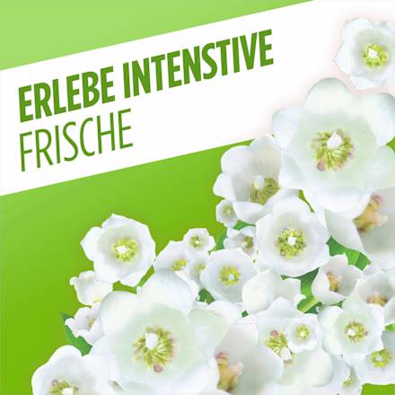 Allzweckreiniger Frühlingsblumen  AJAX