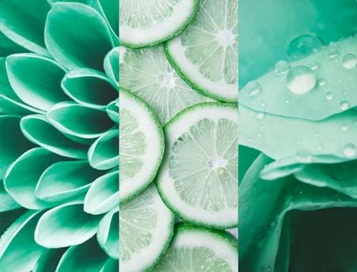 Deospray Fresh Lime 8x4 women