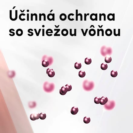 Antiperspirant v spreji Maximum Protection Invisible Rexona