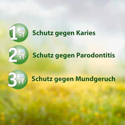 Zahnpasta F mit Fluorid Salviagalen