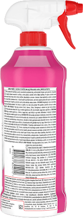Čistiaca pena na WC a kúpeľne Power Foam Floral Fresh Domestos