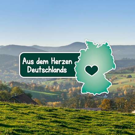 Anfangsmilch Pre Milumil von Geburt an Milupa