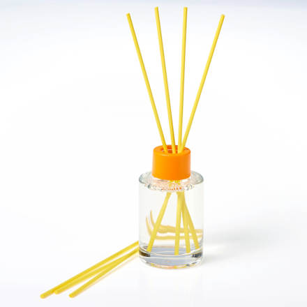 Parfum de incaperi Beach Day Profissimo