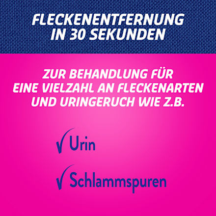 Fleckenentferner Spray Haustier-Experte Vanish