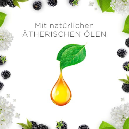 Duftkerze im Glas Brombeere & Holunderblüte (2x105 g) AIR WICK